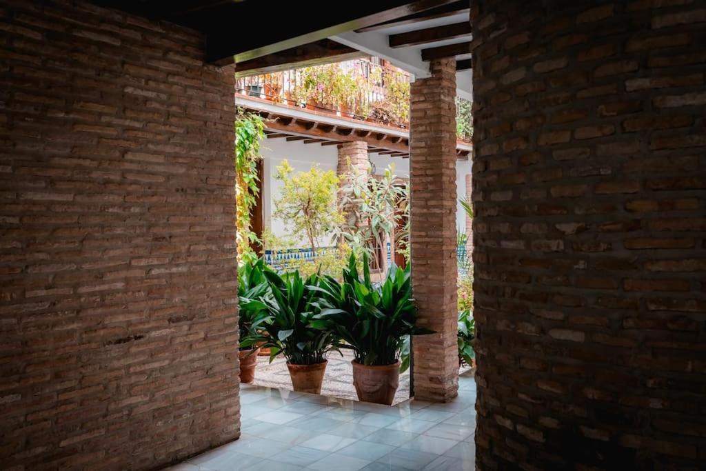 Appartement Qh Caldeleria Vieja Grenade